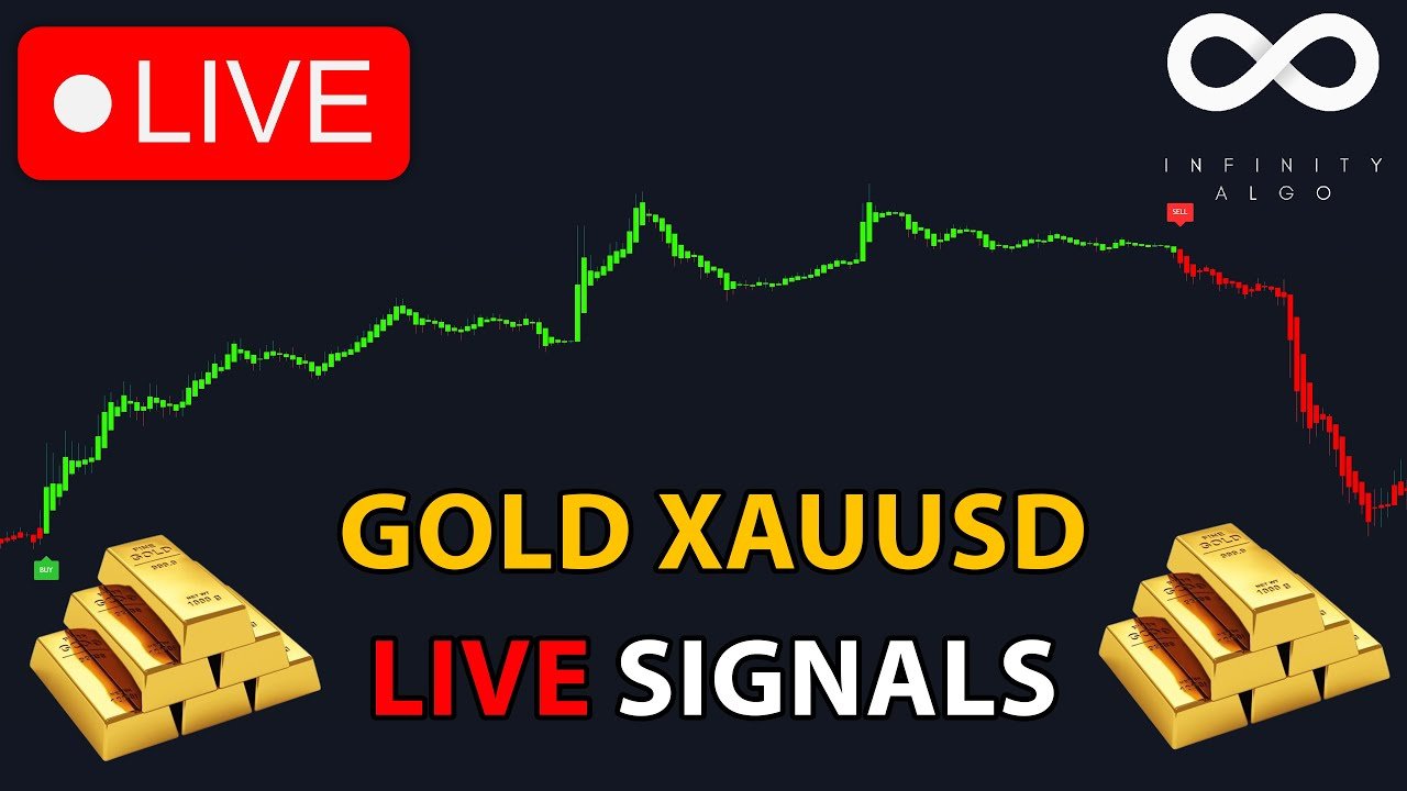 Forex Gold Signals Whatsapp Group Link, Gold signals, VIP signal